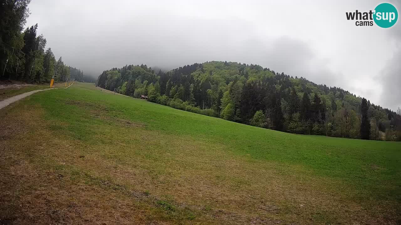 Esquí Kranjska Gora | Brsnina