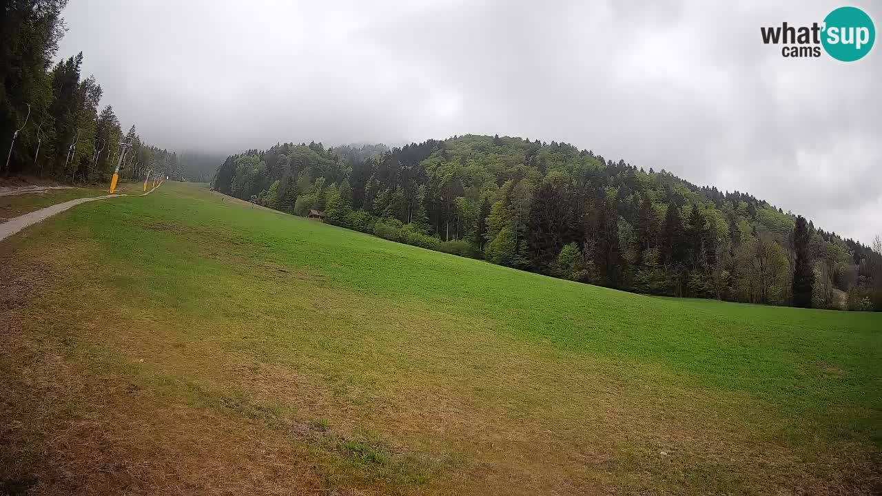 Ski Kranjska Gora | Brsnina