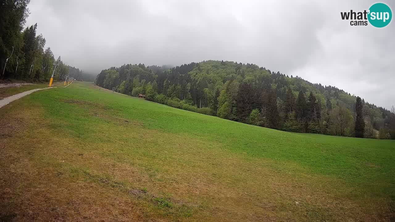 Esquí Kranjska Gora | Brsnina