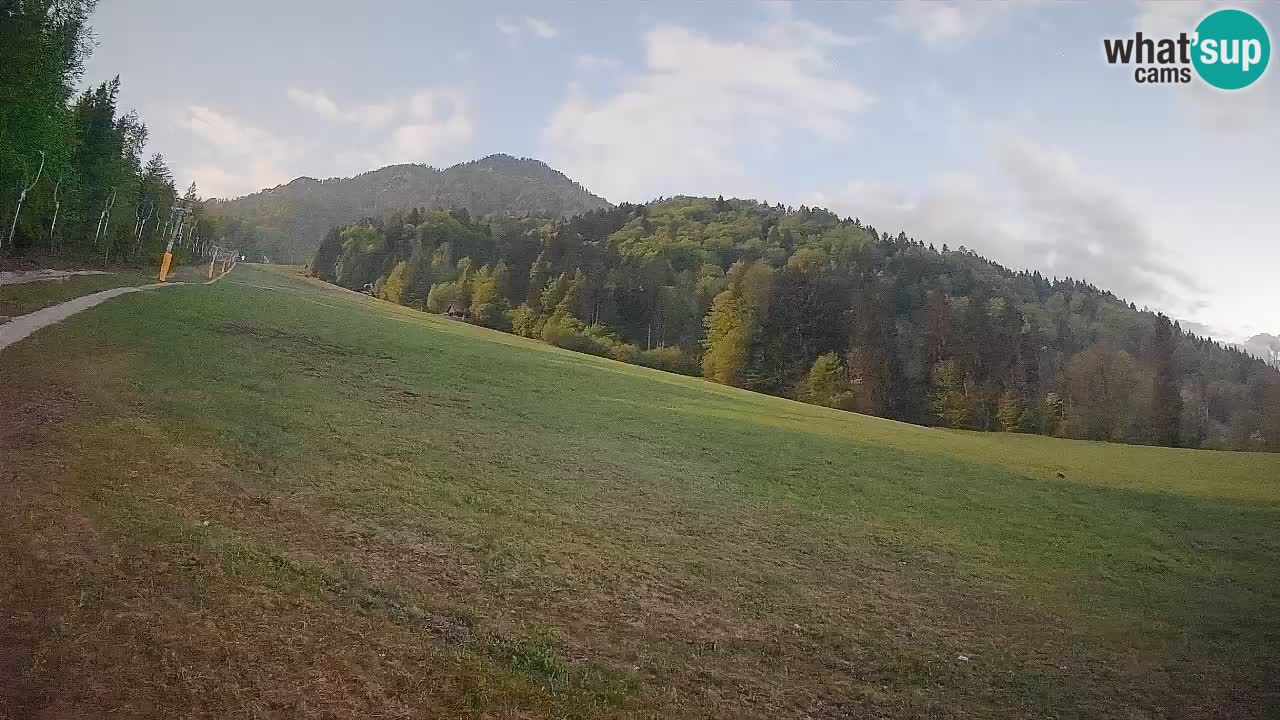 Ski Kranjska Gora | Brsnina