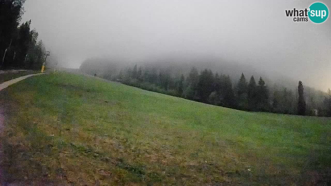 Ski Kranjska Gora | Brsnina