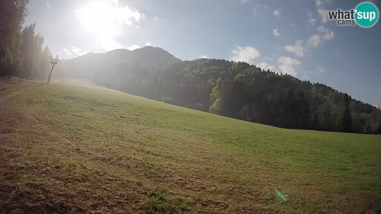 Ski Kranjska Gora | Brsnina