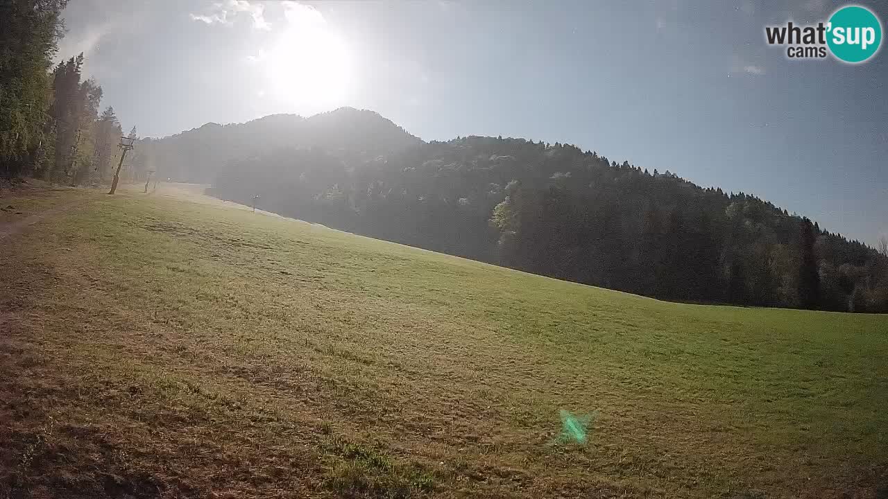 Ski Kranjska Gora | Brsnina