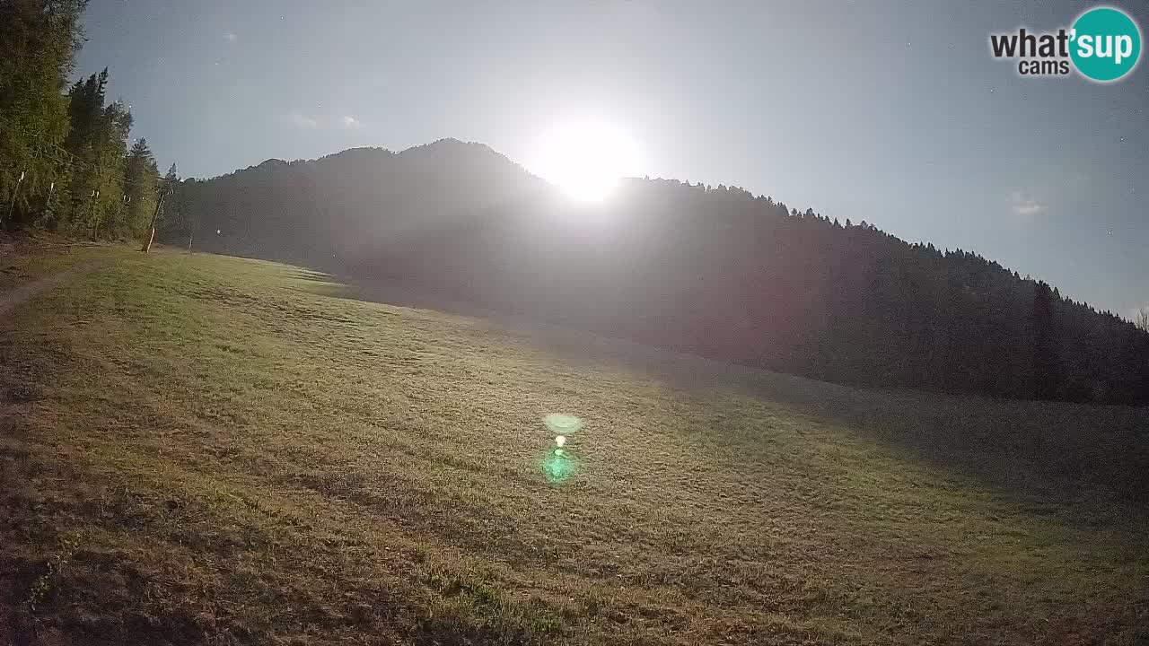 RTC Skigebiet Kranjska Gora | Brsnina