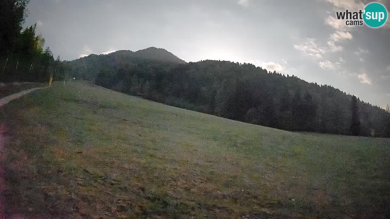 RTC Skigebiet Kranjska Gora | Brsnina