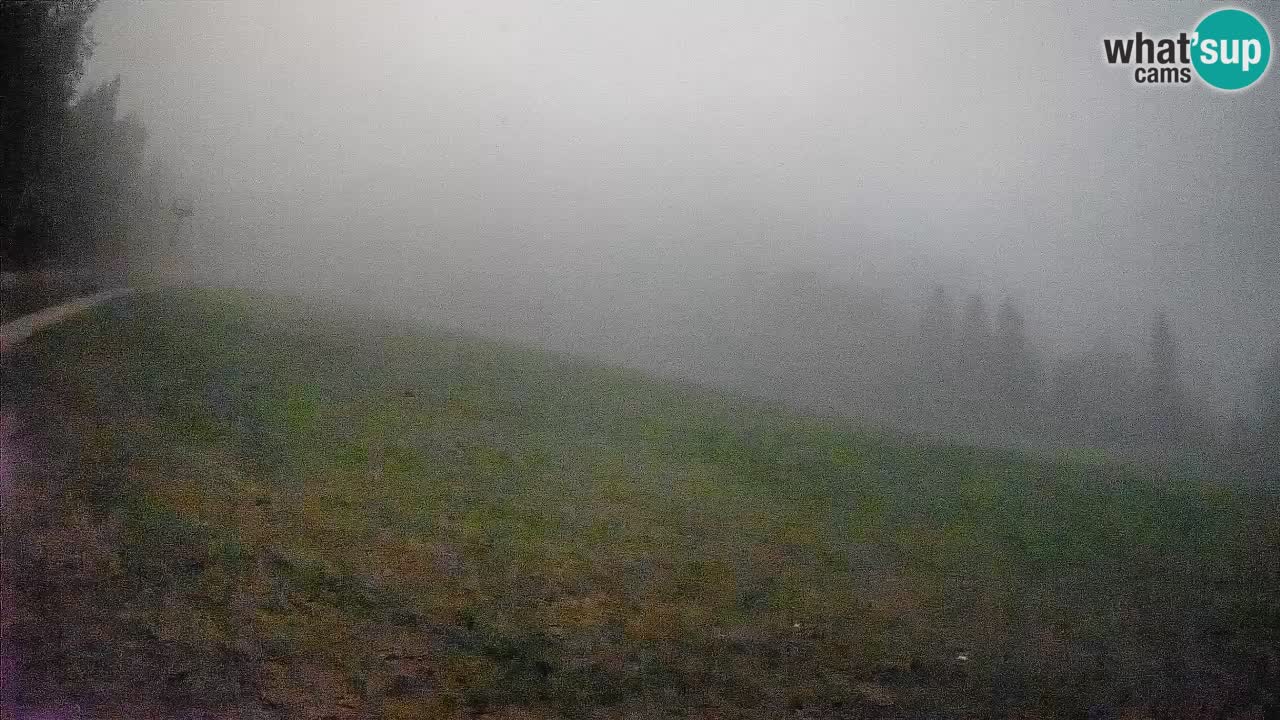 Ski Kranjska Gora | Brsnina