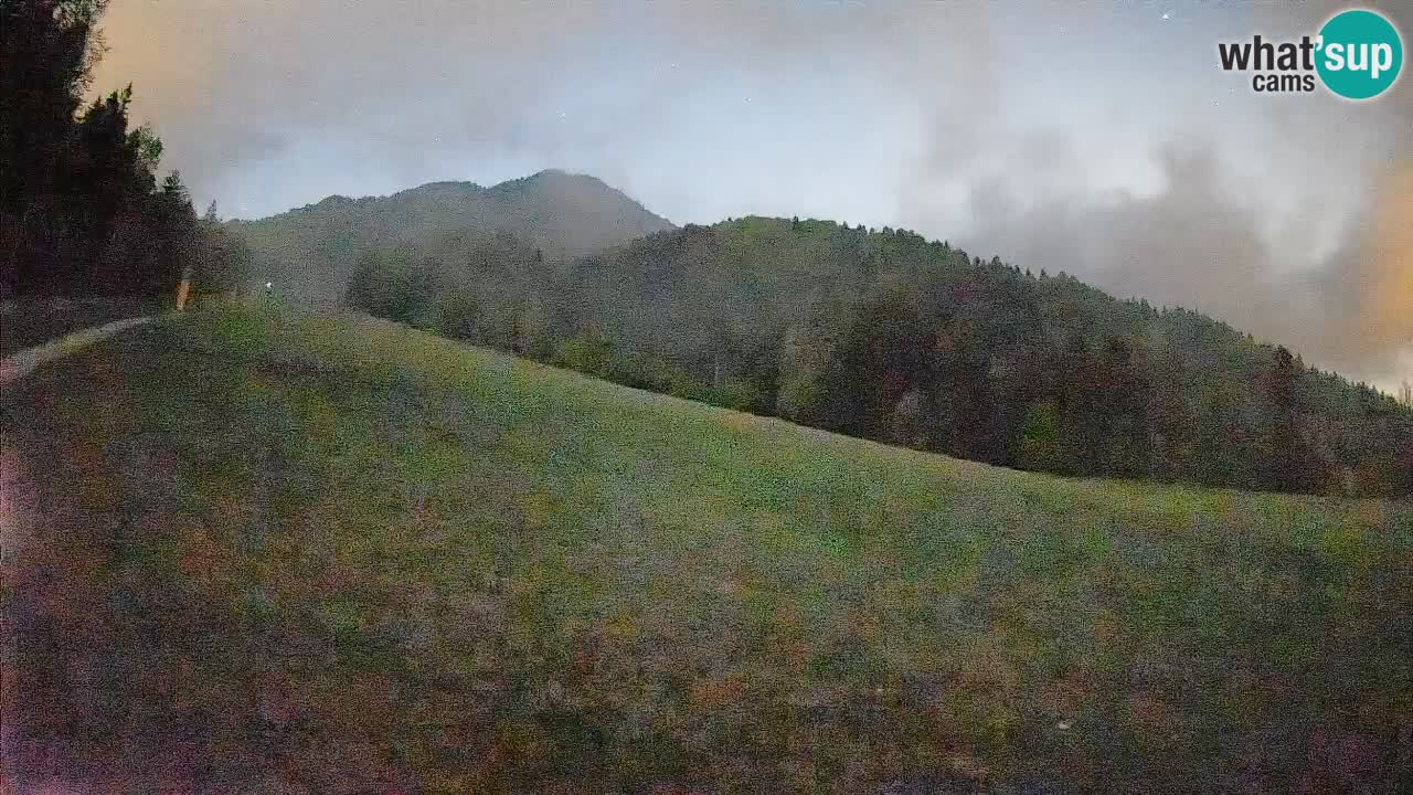 Ski Kranjska Gora | Brsnina