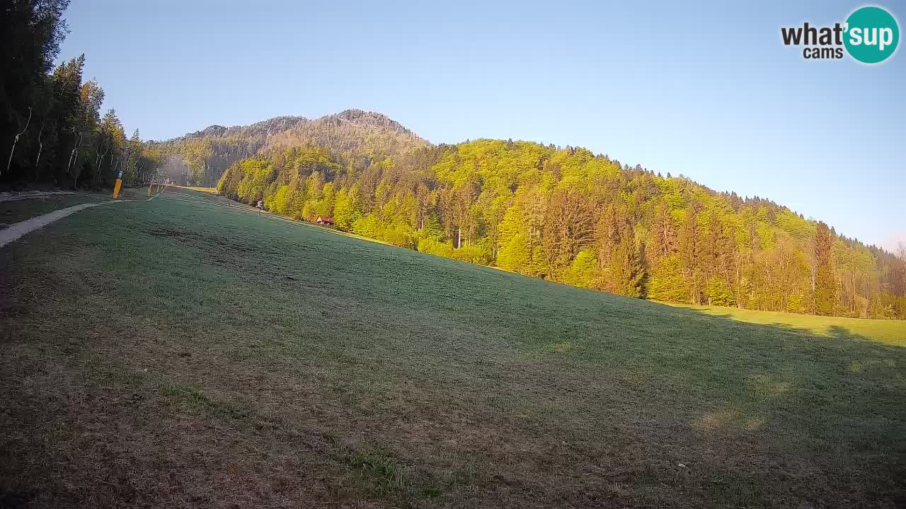 RTC Kranjska Gora | Brsnina