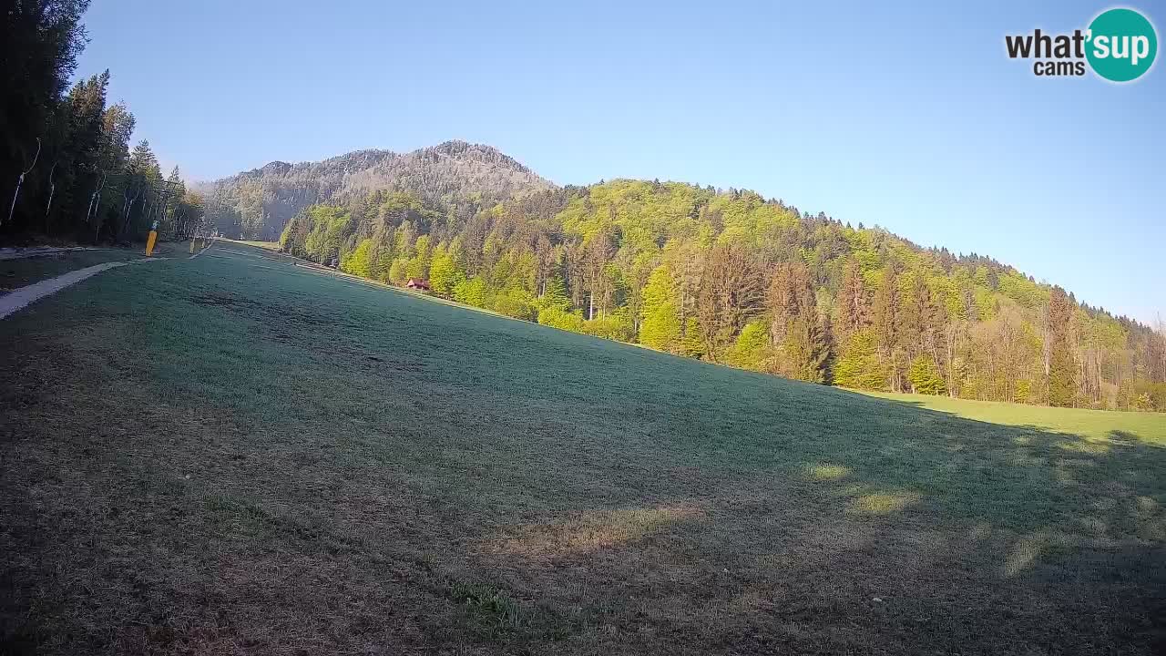 Comprensorio sciistico Kranjska Gora | Brsnina