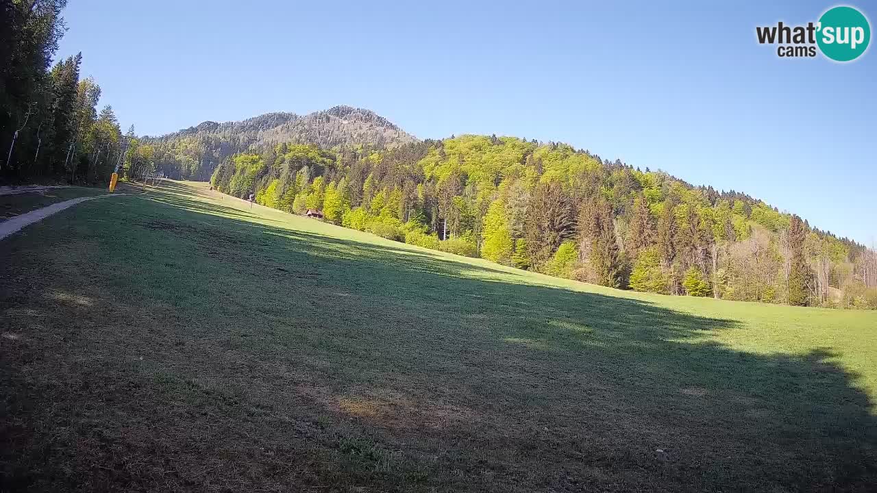 Ski Kranjska Gora | Brsnina