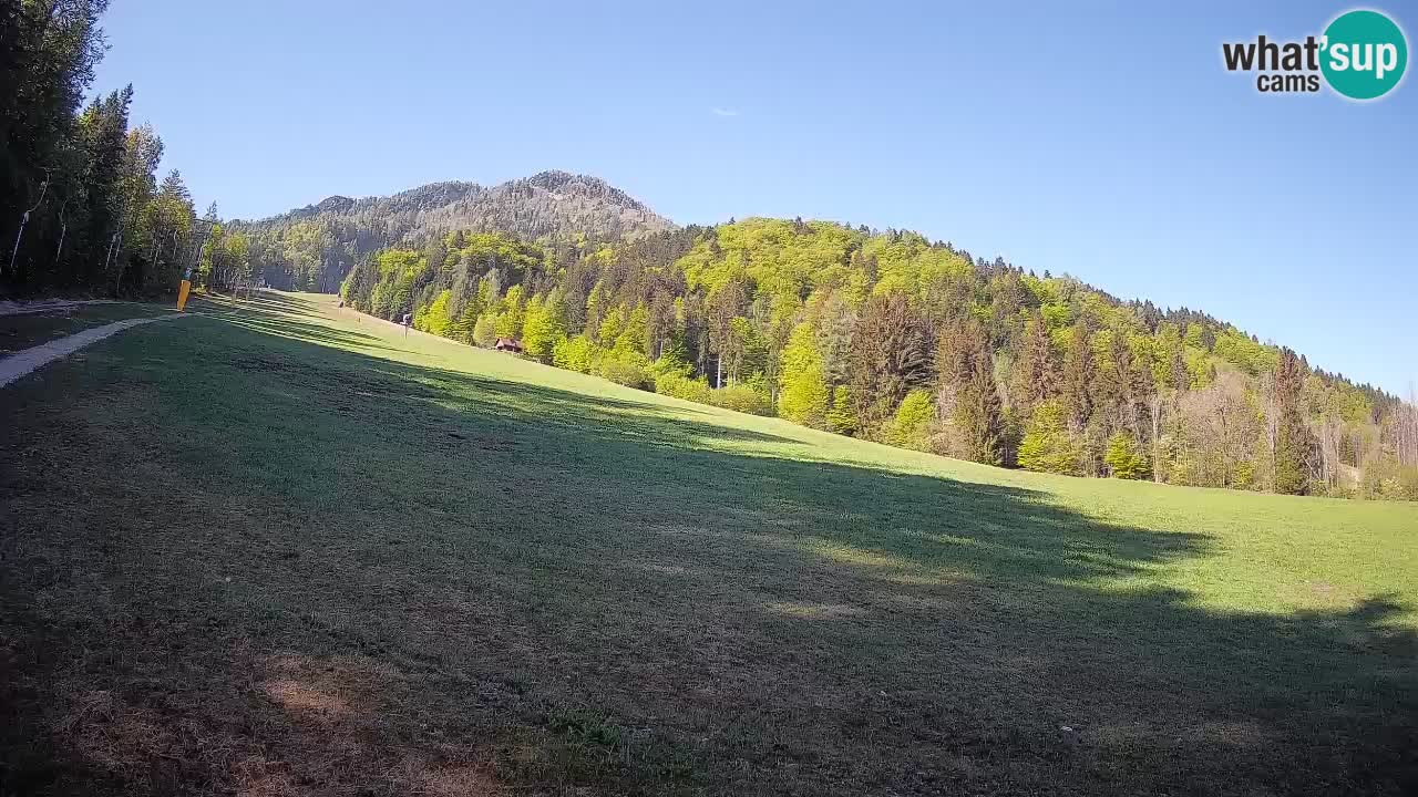 Ski Kranjska Gora | Brsnina