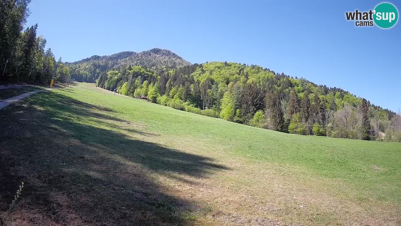 Ski Kranjska Gora | Brsnina