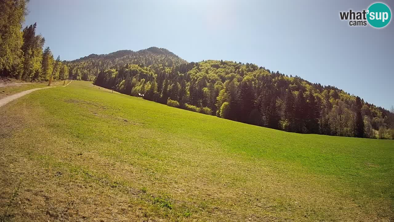 Ski Kranjska Gora | Brsnina