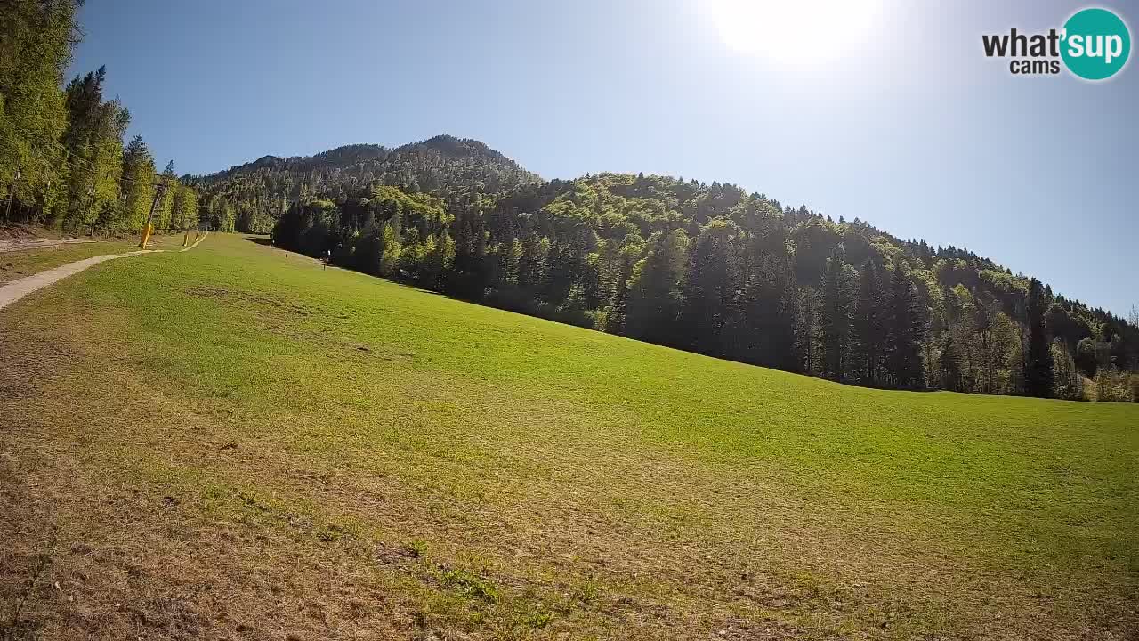 Comprensorio sciistico Kranjska Gora | Brsnina