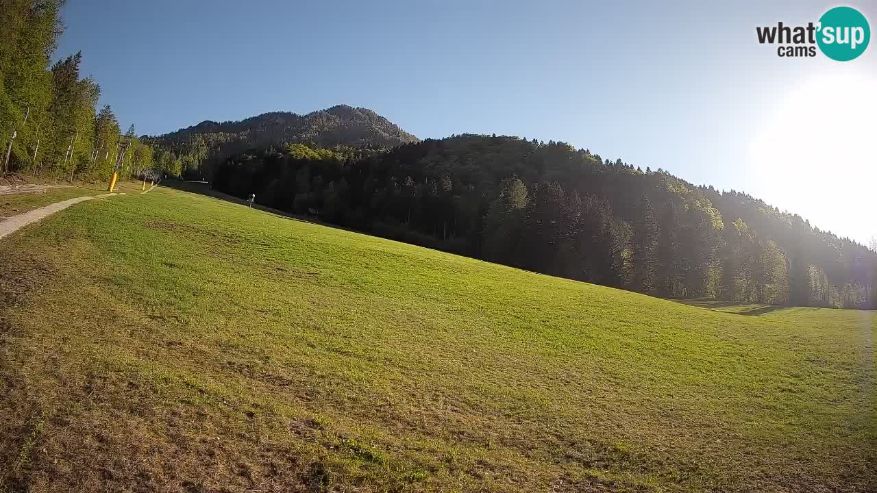 RTC Skigebiet Kranjska Gora | Brsnina