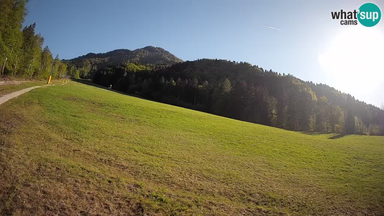 Ski Kranjska Gora | Brsnina