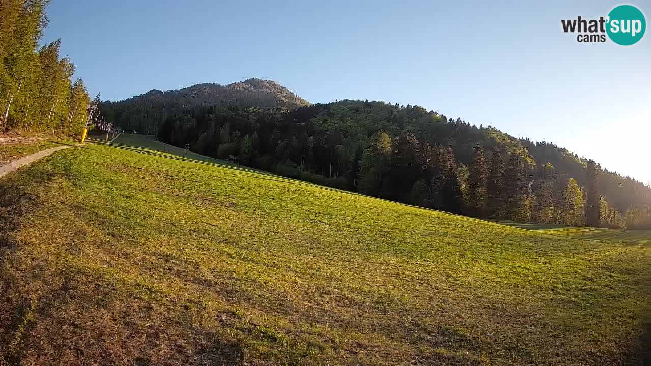 RTC Kranjska Gora | Brsnina