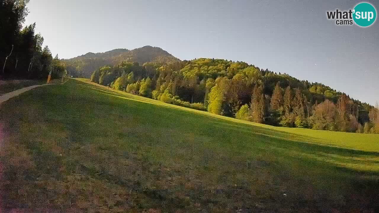 Esquí Kranjska Gora | Brsnina