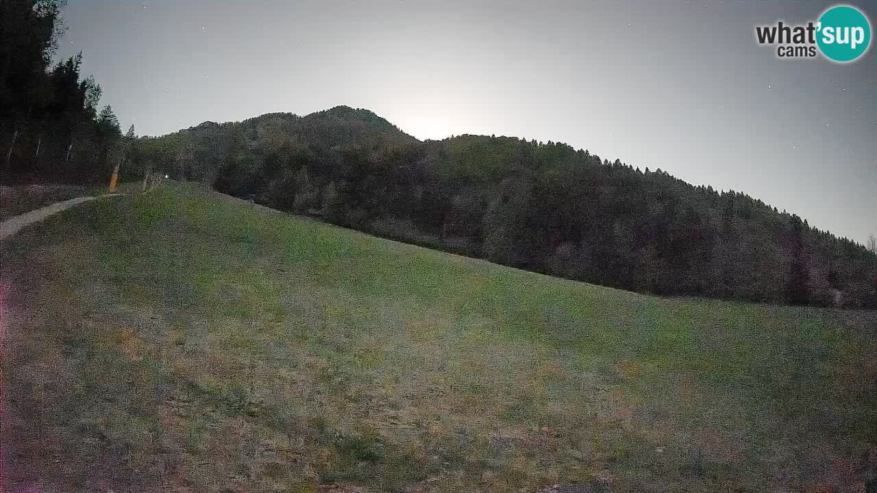 Ski Kranjska Gora | Brsnina
