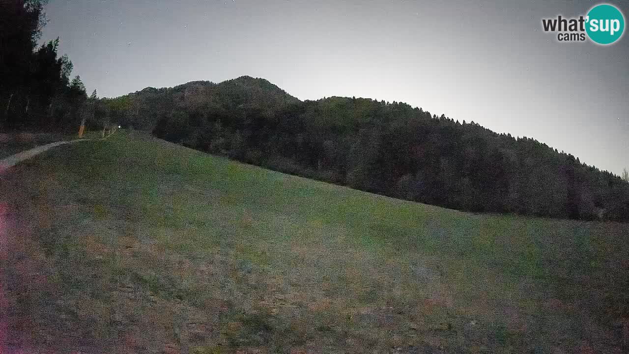 Ski Kranjska Gora | Brsnina
