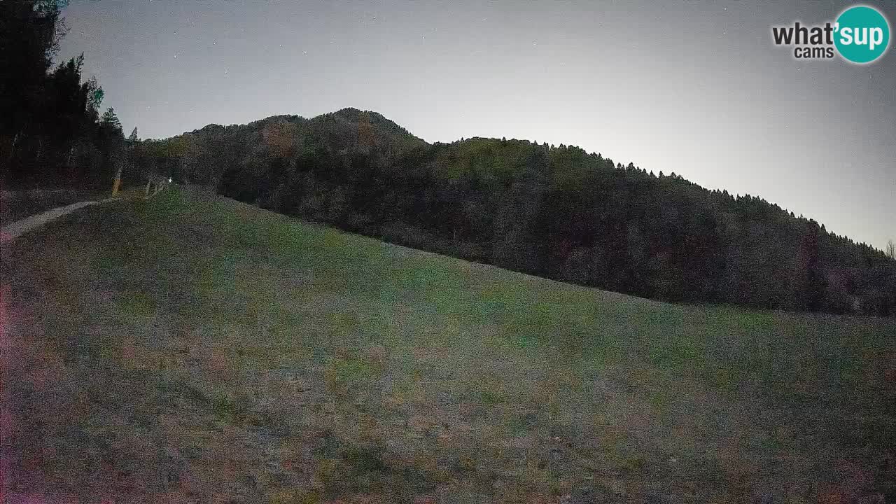 Esquí Kranjska Gora | Brsnina