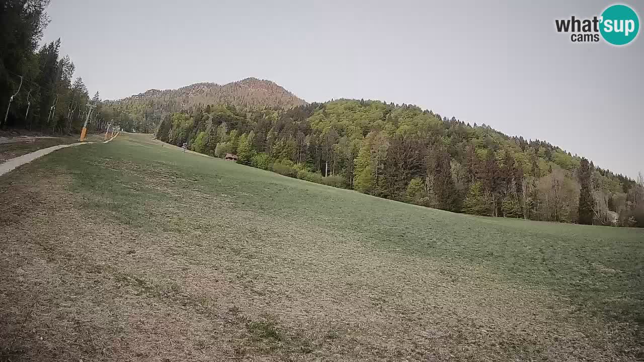 Kranjska Gora SKIJANJE | Brsnina