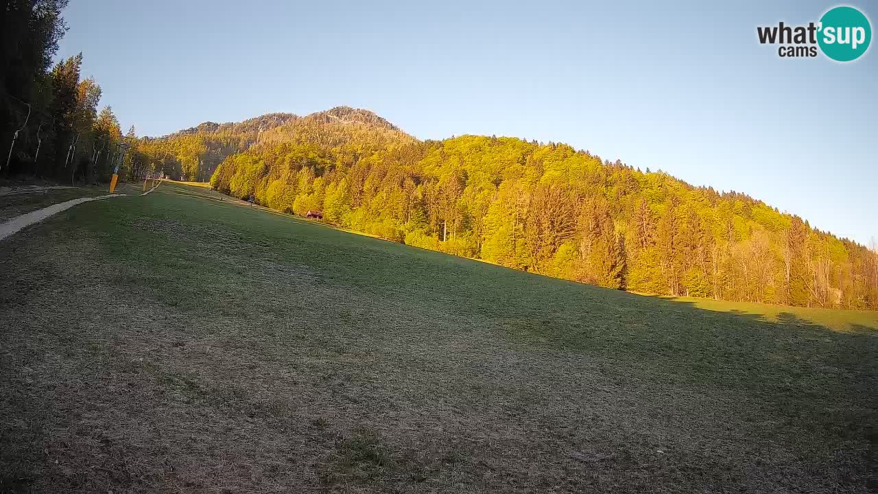 Comprensorio sciistico Kranjska Gora | Brsnina