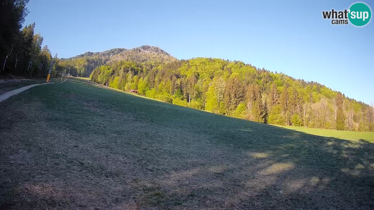 Comprensorio sciistico Kranjska Gora | Brsnina