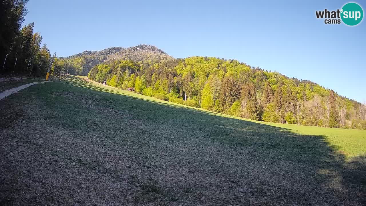 RTC Skigebiet Kranjska Gora | Brsnina