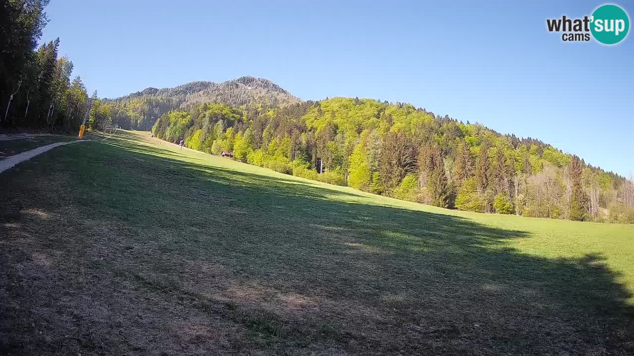 Comprensorio sciistico Kranjska Gora | Brsnina