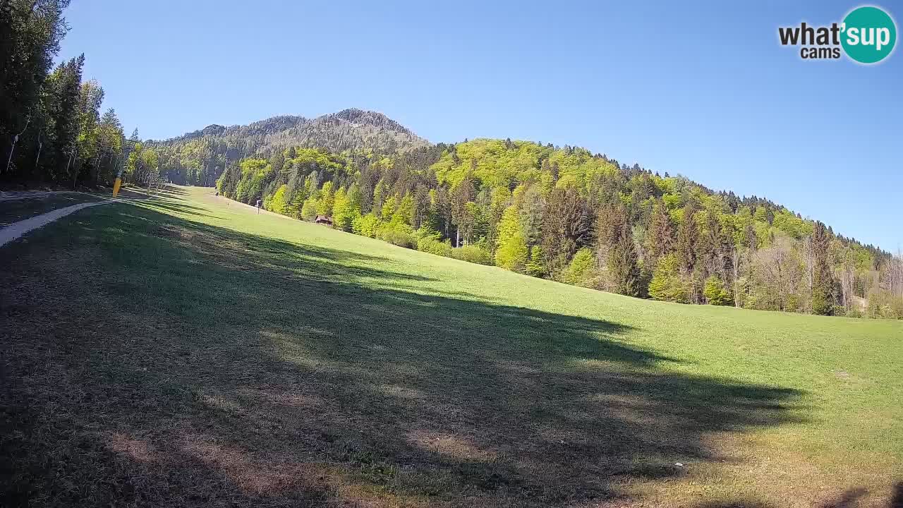 RTC Kranjska Gora | Brsnina