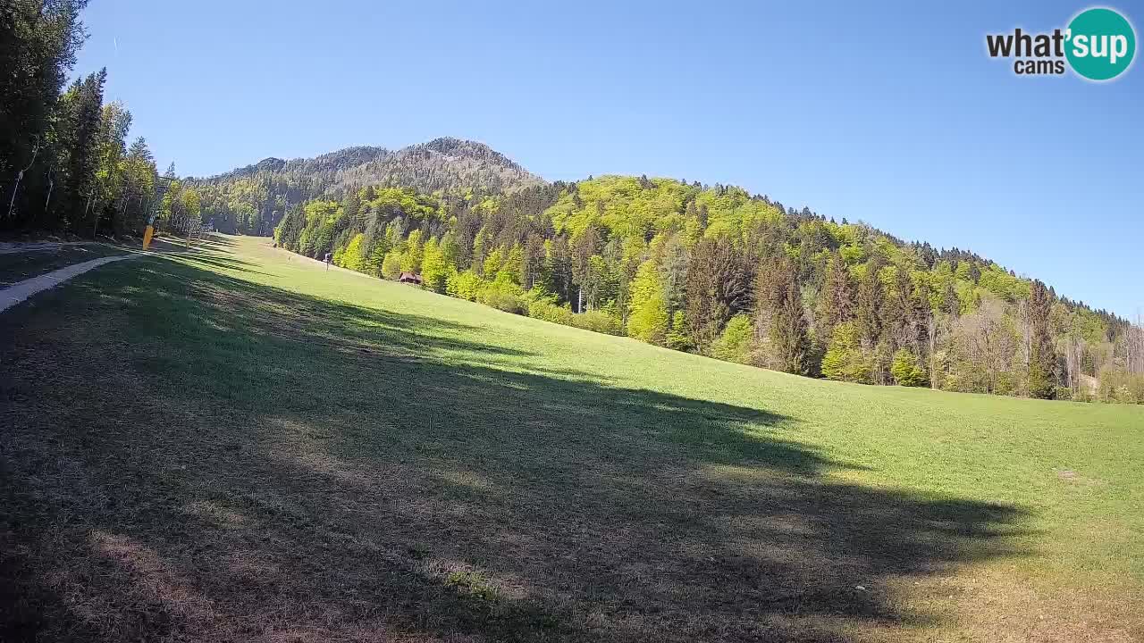 RTC Kranjska Gora | Brsnina