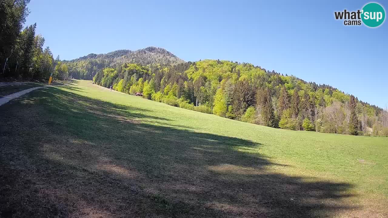 Kranjska Gora SKIJANJE | Brsnina