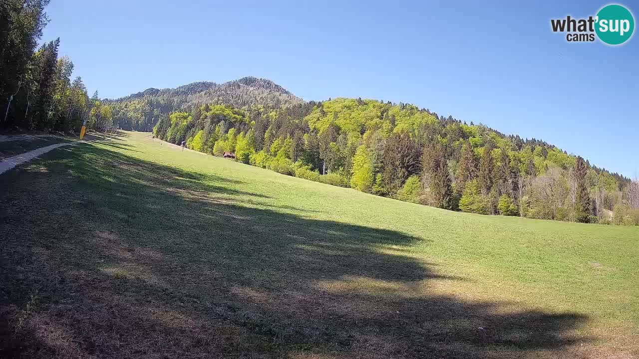 RTC Kranjska Gora | Brsnina