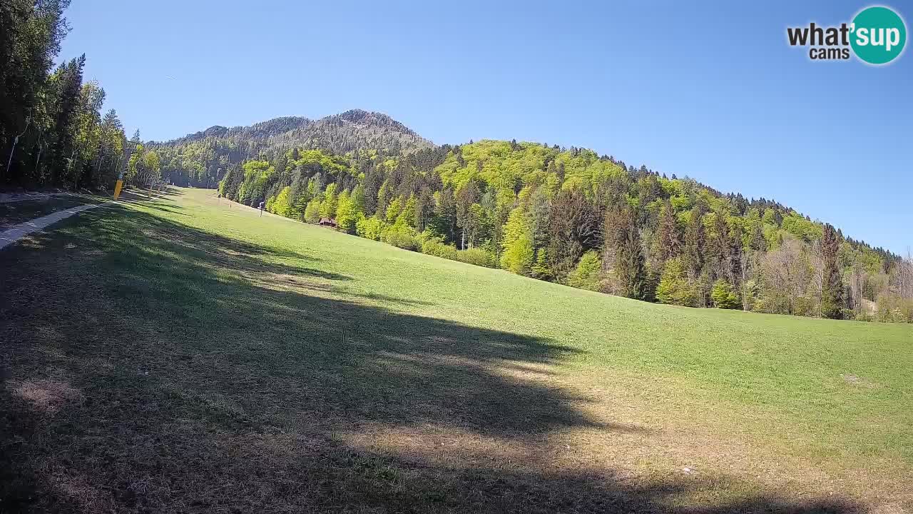 Kranjska Gora SKIJANJE | Brsnina