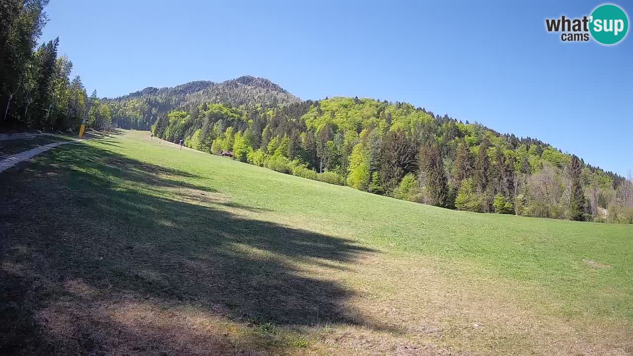 Esquí Kranjska Gora | Brsnina