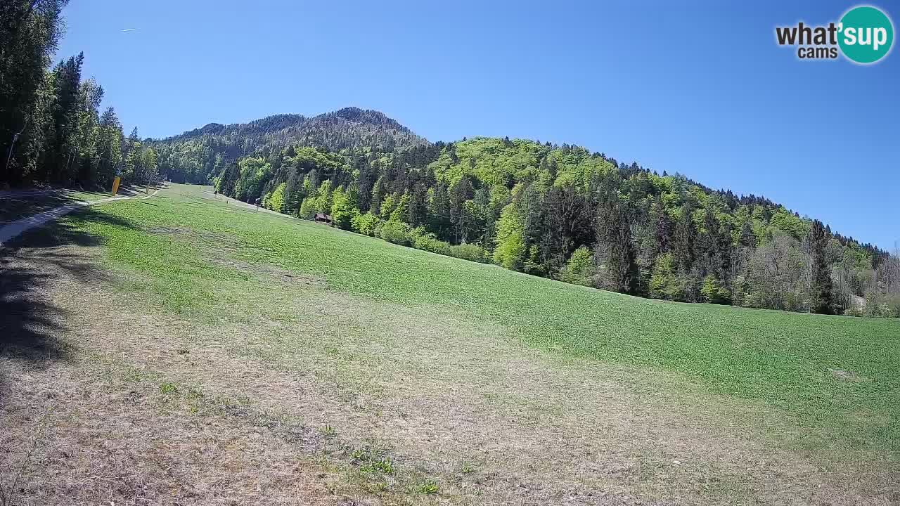 Comprensorio sciistico Kranjska Gora | Brsnina