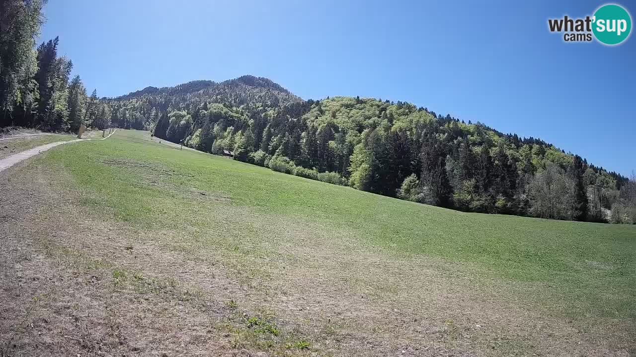 Kranjska Gora Station de ski | Brsnina