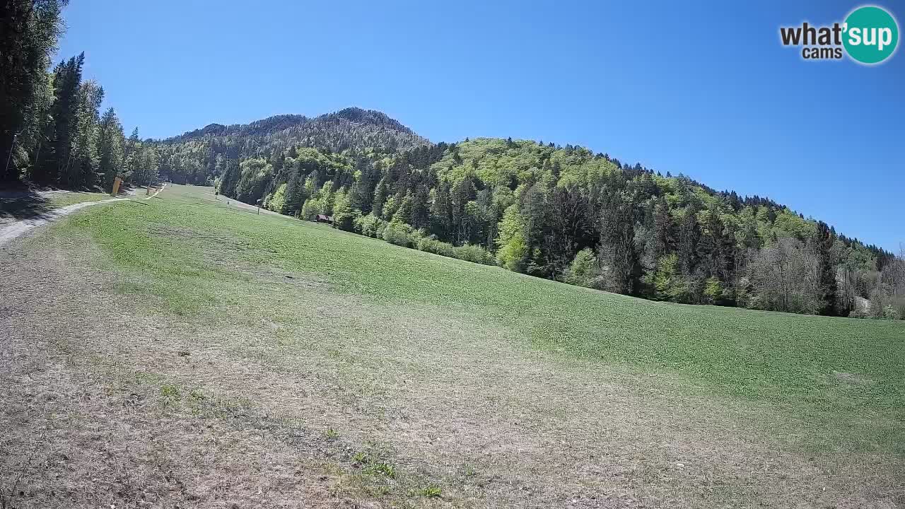 RTC Kranjska Gora | Brsnina