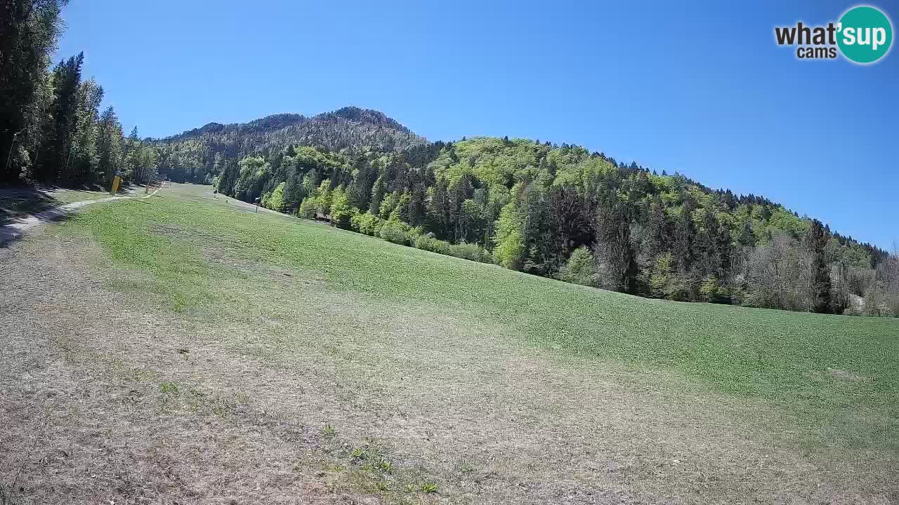 Comprensorio sciistico Kranjska Gora | Brsnina