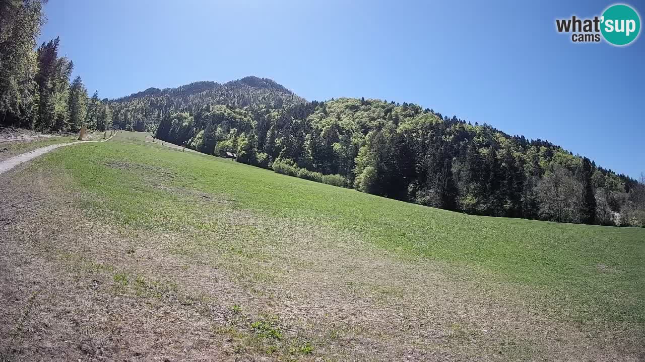 Ski Kranjska Gora | Brsnina