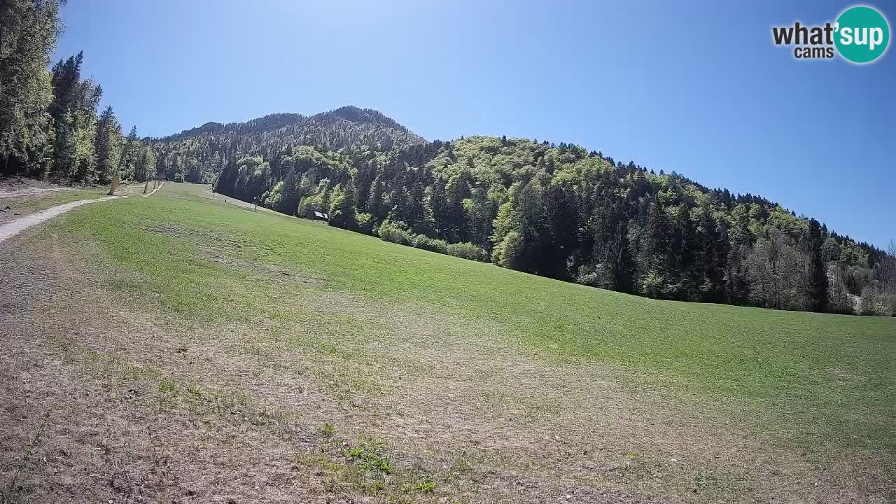 Kranjska Gora Station de ski | Brsnina