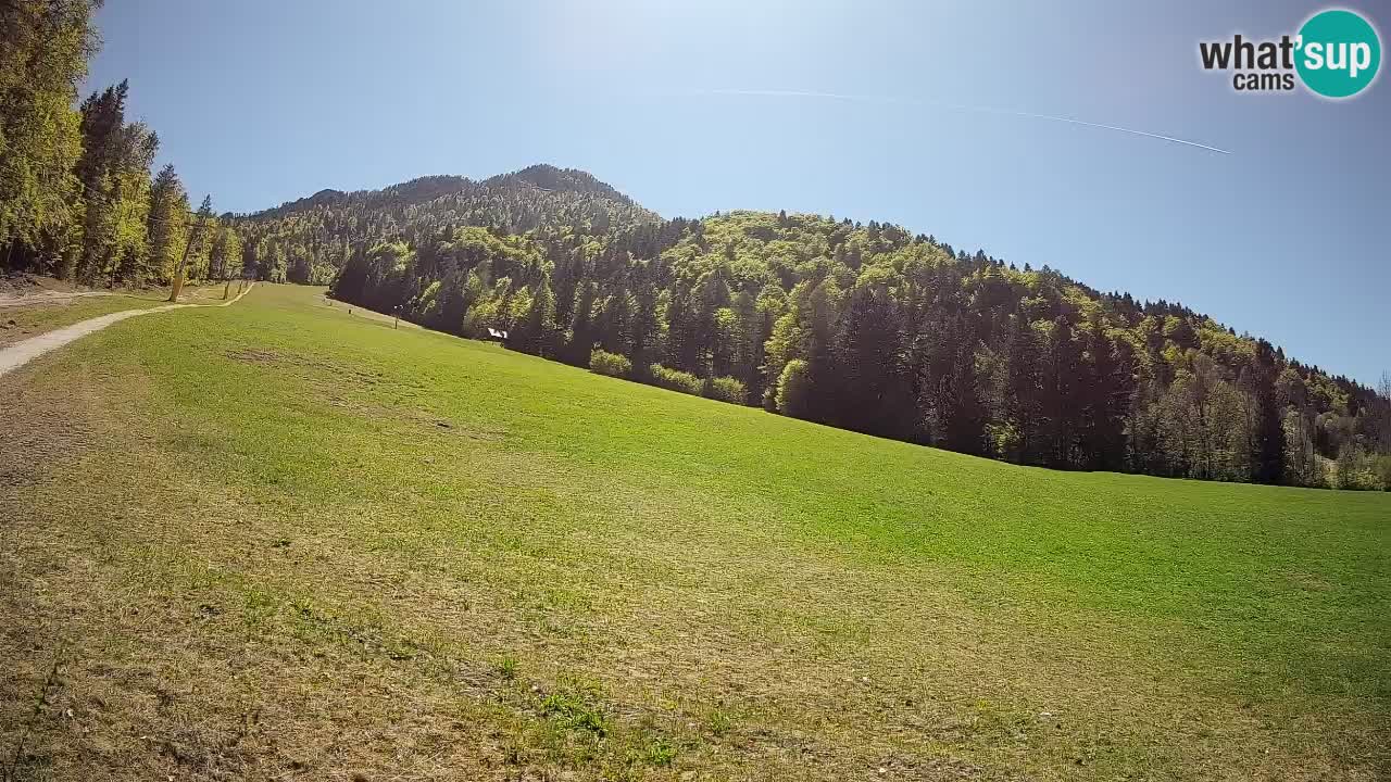 RTC Kranjska Gora | Brsnina