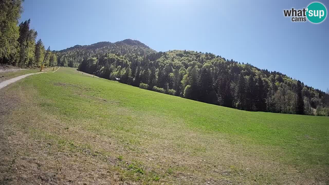 Kranjska Gora Station de ski | Brsnina