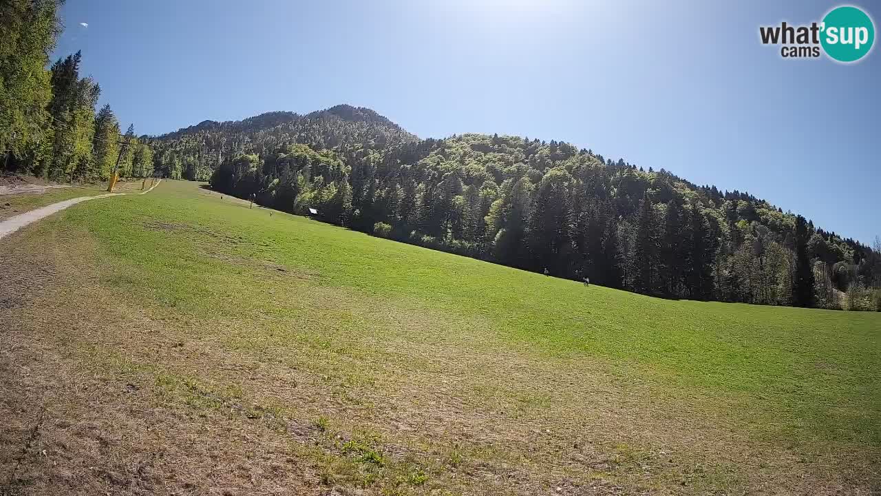 Kranjska Gora Station de ski | Brsnina