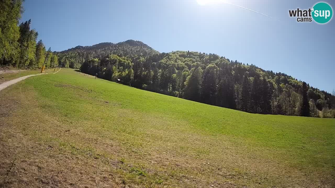 RTC Skigebiet Kranjska Gora | Brsnina