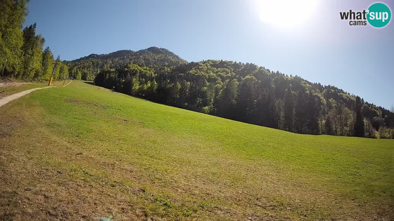 Kranjska Gora Station de ski | Brsnina
