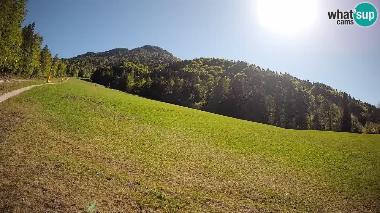 Kranjska Gora SKIJANJE | Brsnina