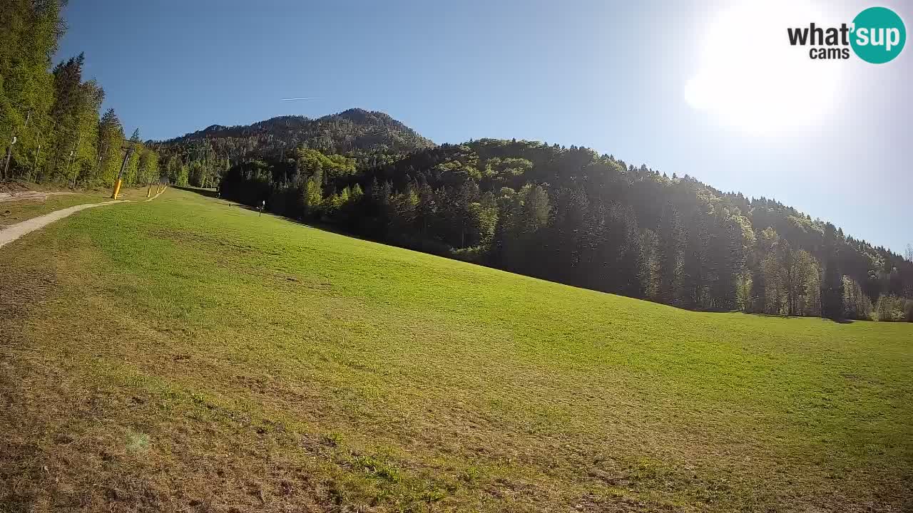 Ski Kranjska Gora | Brsnina