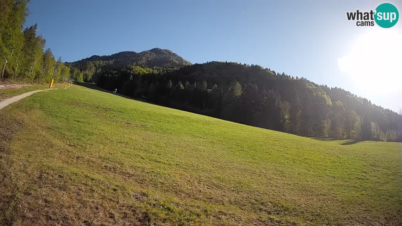 Kranjska Gora SKIJANJE | Brsnina